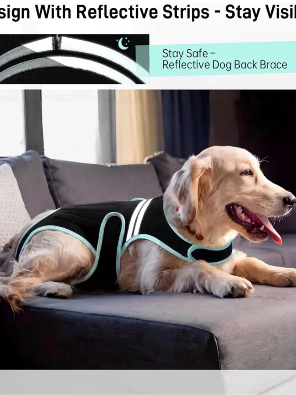 Dog Recovery Suit Back Brace- Black with Light Blue Trim Sz Small
